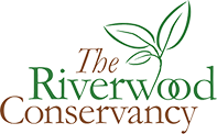 The Riverwood Conservancy